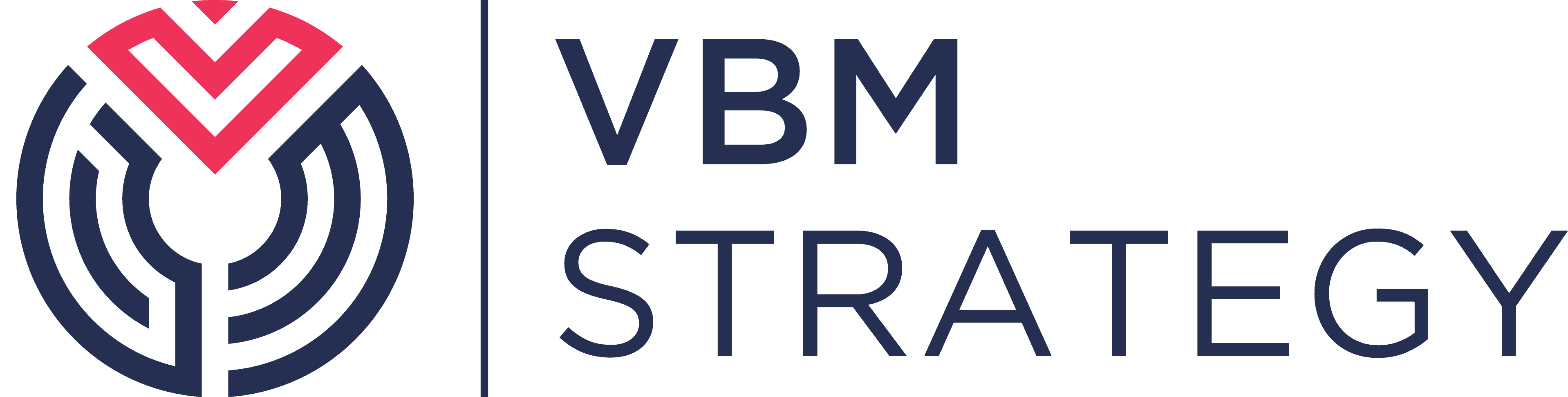 VBM Strategy_fullcolor